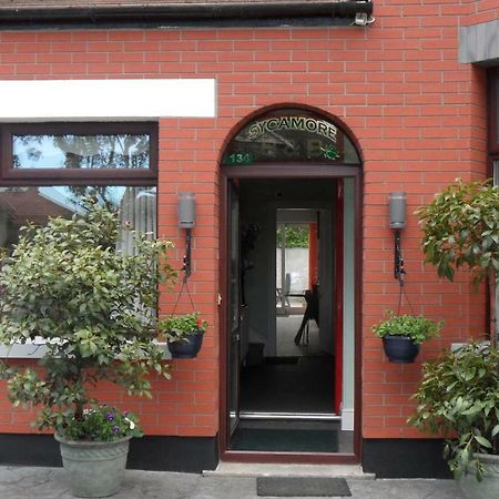 Sycamore House B&B Dublin Exteriér fotografie